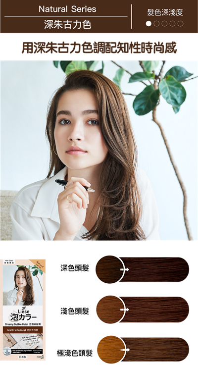 KAO Liese Soft Bubble Hair Color (Dark Chocolate) - New Package
